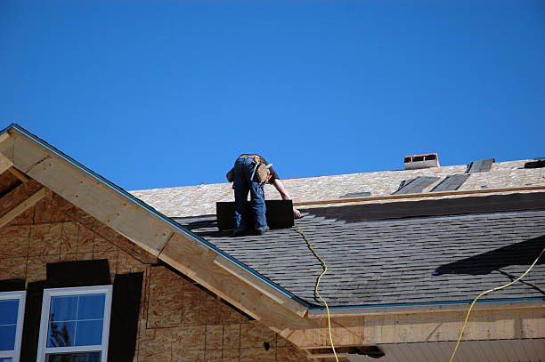 Best Storm Damage Roof Repair  in Pioneer, OH